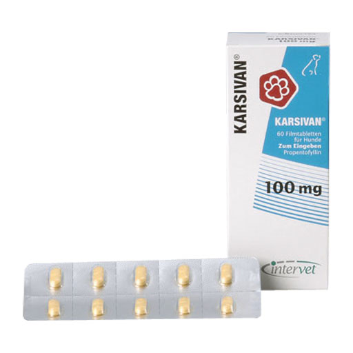 KARSIVAN 100 Filmtabletten f.Hunde